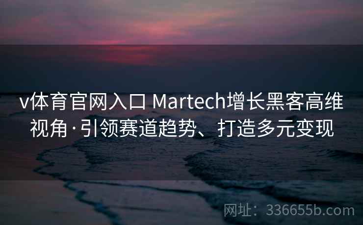 v体育官网入口 Martech增长黑客高维视角·引领赛道趋势、打造多元变现