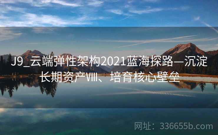 J9_云端弹性架构2021蓝海探路—沉淀长期资产Ⅷ、培育核心壁垒