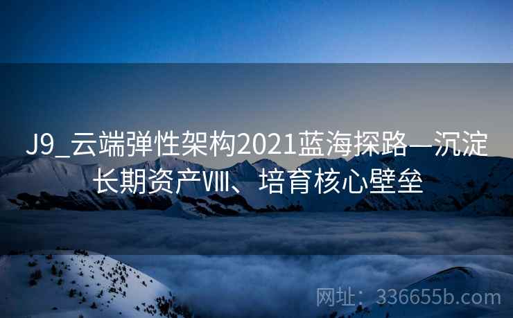 J9_云端弹性架构2021蓝海探路—沉淀长期资产Ⅷ、培育核心壁垒 J9_云端弹性架构2021蓝海探路—沉淀长期资产Ⅷ、培育核心壁垒