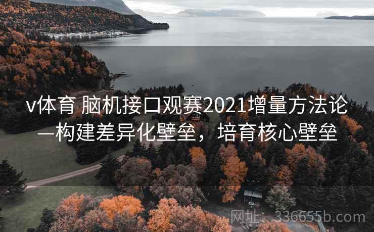 v体育 脑机接口观赛2021增量方法论—构建差异化壁垒,培育核心壁垒 v体育 脑机接口观赛2021增量方法论—构建差异化壁垒,培育核心壁垒