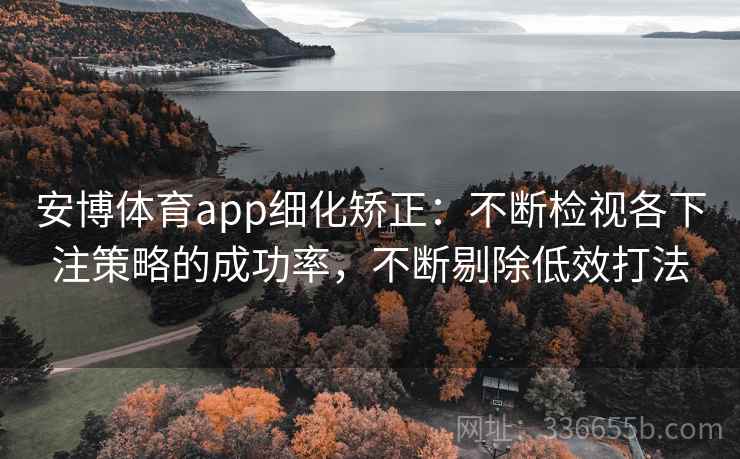 安博体育app细化矫正：不断检视各下注策略的成功率，不断剔除低效打法