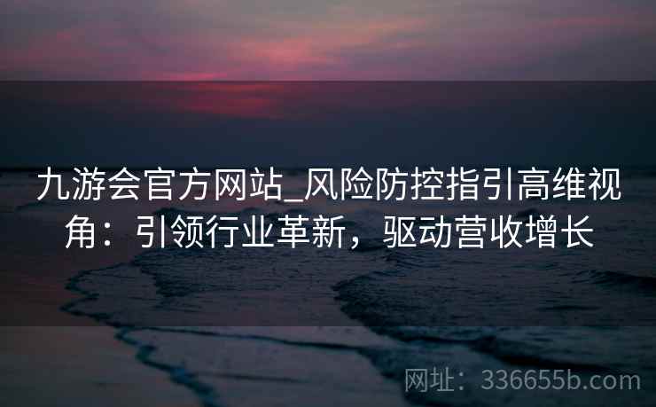 九游会官方网站_风险防控指引高维视角：引领行业革新，驱动营收增长
