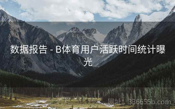 数据报告 - B体育用户活跃时间统计曝光